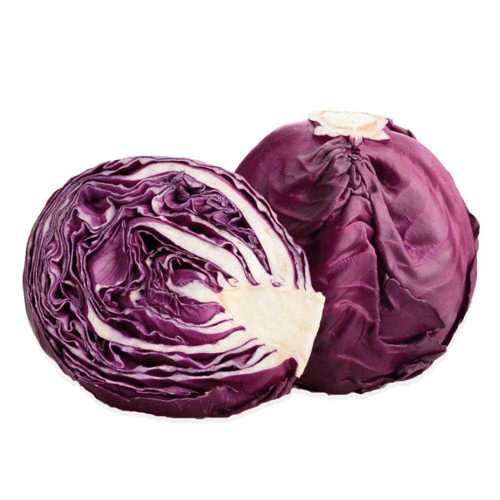 Repollo morada