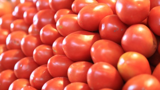 Tomate kg