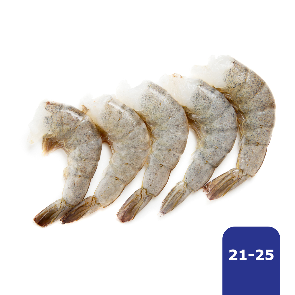 Camaron 21-25