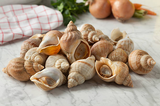 Caracol