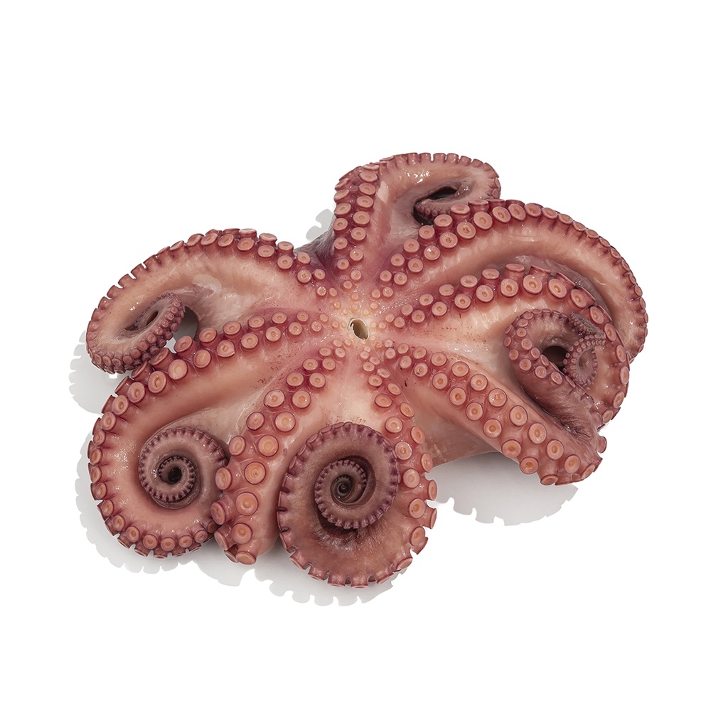 Pulpo caliente