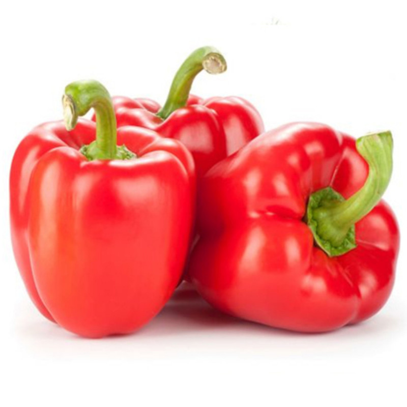 Morron rojo pieza