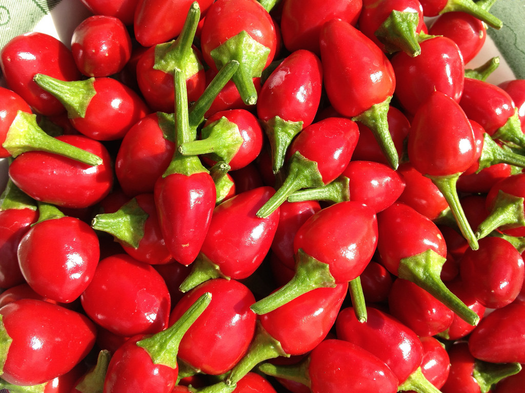 Chiltepin