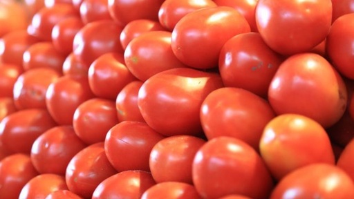 [1403] Tomate kg