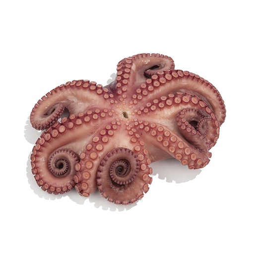[3307] Pulpo caliente